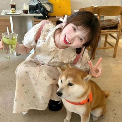 森林之北